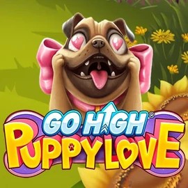 Go High Puppy Love logo by RubyPlay at Action Casino